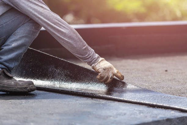 Professional Interior Drainage System technician working in Philo, OH